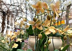 Fruehling In Der Goethe Galerie Jena 00002